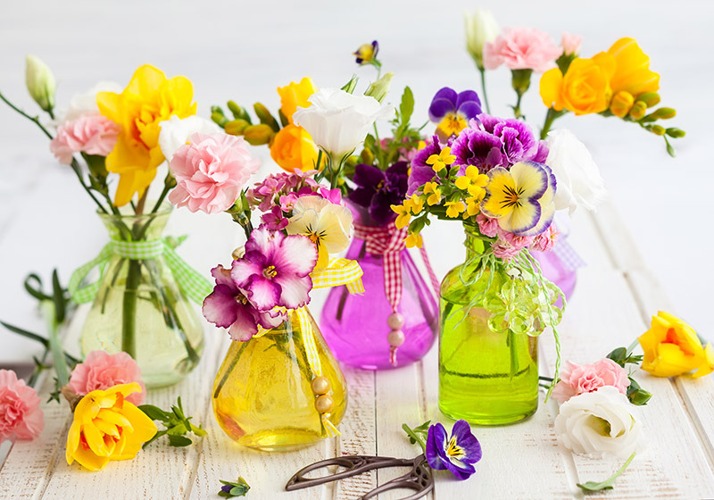 https://design44.live/blog/elevate-your-orchid-care-game/