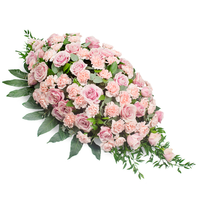 A lush pink casket spray is captured against a plain white background, its shape forming a classic, elongated teardrop that starts in a generous, rounded cluster of blooms at the upper left and gently tapers to a slender, elegant point toward the lower right. The design is a harmonious blend of soft pink and light peach-pink roses and carnations, tightly arranged so that the flowers almost completely cover the foliage beneath. The roses vary in size and openness, with some fully unfurled to reveal intricate spirals of petals and others still partially closed, adding depth and interest. Carnations in coordinating pastel shades fill in the spaces, their frilled and slightly ruffled petals creating a textured contrast to the smooth, satin-like rose petals. Around this central mass of flowers, deep green leaves form a supportive frame; broad, slightly waxy foliage hugs the edges and underside, while slender, more delicate stems and fronds extend from the sides and trailing tip, lending the piece a natural, flowing movement. The lighting is soft and diffused, gently highlighting the contours of the blooms and the subtle colour variations without introducing any harsh shadows. The overall mood is serene, dignified, and tender, ideal for a funeral or memorial service in Grove Park, perhaps at a nearby church or local chapel. This spray feels like something a family would request from Grove Park Florist to express their love and respect, offering a final, beautifully crafted gesture that honours a life lived and provides quiet comfort to those gathered in farewell.
