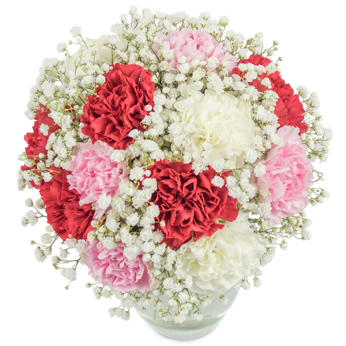 Celebrating the quiet beauty of Grove Park, this abundant floral display features a harmonious medley of lush carnations and whisper-light baby's breath in a refined, rounded silhouette. Deep red, pastel pink, and creamy white carnations take centre stage, their layered petals and velvety fullness meticulously arranged in a clear glass vase that softly reveals the green stems and sparkling water beneath. Interspersed throughout are ample sprays of delicate Gypsophila, forming a diaphanous halo around the vivid main blossoms and lending the arrangement an ethereal presence, reminiscent of early morning mists drifting through Chiswick House Gardens. Bright, natural light bathes the bouquet, highlighting the range of hues and the freshness of each petal, while the clean white backdrop underscores its classic elegance. This arrangement, available for thoughtful delivery across Grove Park and neighbouring areas, is well-suited for life's most heartfelt occasions-anniversaries, thank you gestures, or those moments when only flowers can express what words cannot. Each element speaks of skilled craftsmanship and an understanding of local sentiment, making this bouquet a timeless tribute to Grove Park's sense of grace and celebration.