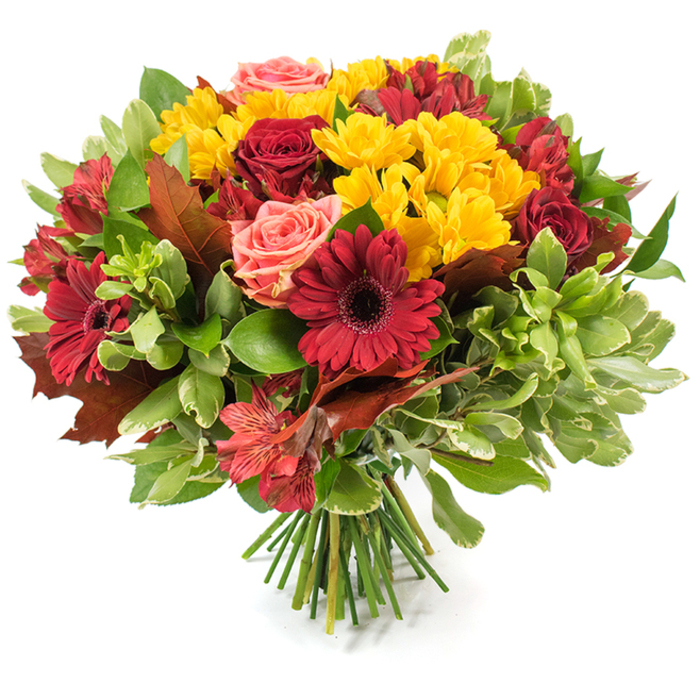 This photograph shows a lush, hand-tied fall bouquet arranged with deliberate care and a clear sense of seasonal mood, set against a pure white background that emphasises the colours. At its heart are several deep crimson gerbera daisies and velvety red roses-some fully open with layered petals, others in tight, elegant buds-creating a rich, romantic centre. Bright yellow spray chrysanthemums ripple through the grouping like pockets of sunlight, bringing cheerful contrast and a delicate, textured chorus of tiny petals. Blush coral and soft peach roses soften the composition, their gentle tones providing a quiet counterpoint to the deeper reds. Sprays of red-and-orange alstroemeria contribute small, patterned petals that introduce fine detail and a lively, star-shaped rhythm to the overall form. The blooms are cradled by a generous mix of foliage: glossy dark green leaves anchor the palette while paler, variegated greens add lightness and volume. Several large, bronze-tinted, lobed autumn leaves-evocative of oak or maple-are woven in to reinforce the fall theme and lend a rustic, garden-picked feeling. The stems are gathered and visible at the base as a tidy bundle of green stalks, signalling a classic hand-tied finish and the touch of an experienced arranger. In soft natural light the petals glow and the textures become tactile; the bouquet reads as both celebratory and comforting, a fitting choice for Thanksgiving, seasonal home décor, or as a heartfelt gift that carries the warmth of autumn indoors.