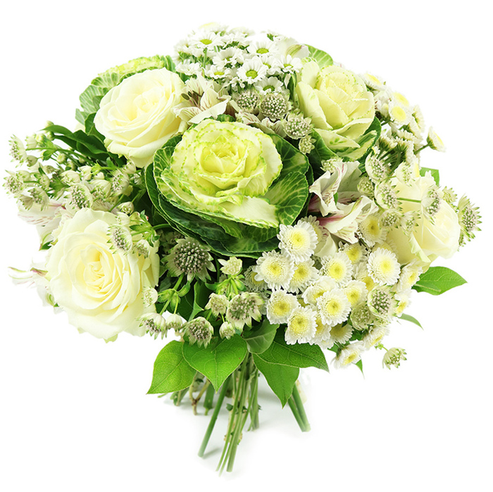 A sophisticated white and green hand-tied bouquet is captured here against a bright white background, giving the impression of standing in a light-filled studio above the leafy streets of Grove Park. At the heart of the arrangement, creamy white roses bloom fully, with velvety petals that layer gently one over the other to form lush, open rosettes, communicating tenderness and timeless grace. Tucked among them are ornamental kale, also known as flowering cabbage, with their sculptural, ruffled rosettes that shift from deep, cool green outer leaves to a soft, pale green centre, providing a distinctive focal point and contemporary flair. Throughout the bouquet, clusters of small white spray chrysanthemums and daisy-like flowers dot the design; their numerous slender petals surround soft yellow-green centres, adding a light, almost frothy texture that contrasts beautifully with the larger blooms. Fine, star-shaped filler flowers - probably astrantia - weave in and out, their delicate heads and slender stems creating a subtle, wildflower nuance, like botanicals gathered along quiet paths near Chiswick or the riverside. Delicate hints of other white blossoms, perhaps alstroemeria with faintly striped petals, add depth and interest without disturbing the harmonious colour scheme. Surrounding the flowers is a generous collar of foliage in varied greens, some leaves broad and protective, others more narrow and arching, giving the bouquet a rounded yet slightly relaxed silhouette. The stems at the base are clearly visible, neatly aligned and hand-tied, ready to be placed directly into a vase for display in a Grove Park living room or hallway. Overall, the arrangement conveys purity, calm, and subtle luxury, making it suitable for wedding celebrations, thoughtful sympathy offerings, or a serene gift to brighten a contemporary home in the local area.