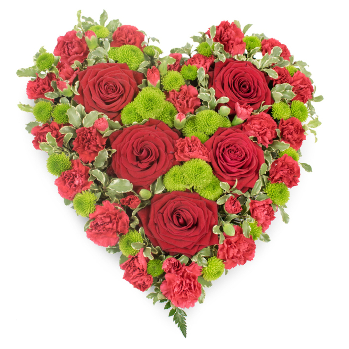 A lush, heart-shaped floral design fills the frame against a pure white backdrop, the colours and textures standing out with almost three-dimensional clarity, as if freshly crafted by a local Grove Park florist for a funeral gathering. The heart itself is densely constructed, with no empty spaces, creating a feeling of fullness and generosity. Several large, deep red roses serve as the primary focal blooms, set at different points across the heart so that each one draws the eye with its velvety petals curling inward to a dark, romantic centre. These roses are surrounded and supported by a multitude of smaller red carnations, whose frilled edges and layered petals overlap in a way that resembles a rich, soft fabric, adding both volume and gentle movement. Interwoven among the red flowers, bright lime-green button chrysanthemums appear in small clusters, their compact, globular heads and finely textured florets offering a vivid, energising contrast to the darker reds. Around the outer edge and peeking between the flowers, variegated foliage with green centres and pale, creamy margins provides a subtle leafy frame, gently tracing the curves and point of the heart and introducing natural variation in tone. At the lower tip of the heart, a spray of slim fern fronds extends outward, giving a final, graceful touch. The composition feels carefully balanced, neither too formal nor too loose, suitable for a thoughtful sympathy gesture delivered to a Grove Park address or placed near a casket at a local service. It communicates profound affection, remembrance, and the quiet dignity of a well-made floral tribute.