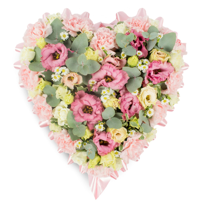 This image shows an exquisitely crafted heart-shaped floral arrangement, displayed on a clean white background that allows every petal, leaf, and ribbon fold to stand out clearly. The heart's outline is elegantly defined by a soft pink satin ribbon, its edges neatly turned and set with care, forming dainty bows at the upper meeting point and at the tip of the heart. Just inside this ribbon, a thick fringe of pale pink carnations and ruffled lisianthus petals creates a plush, cushion-like border, the frills touching and overlapping so that the heart appears soft to the eye. Within this frame, the centre of the heart is completely filled with a harmonious blend of blooms and foliage. Larger eustoma flowers in shades of rose and warm pink unfurl in layered whorls, while clusters of creamy ivory and light lemon-yellow spray roses or small lisianthus buds nestle between them, giving the design a subtle glow, like gentle morning light. Dotted through the arrangement, small white daisy-like blossoms with golden yellow centres offer a playful, meadow-inspired accent that brings airiness and charm, echoing small wildflowers you might notice along footpaths and green spaces near Grove Park. Intertwined with the flowers are rounded stems of silvery-green eucalyptus, whose cool tone and distinctive shapes lend structure and serenity, accompanied by deeper green, sometimes variegated foliage that adds contrast and depth. The overall impression is one of quiet elegance and heartfelt sentiment. Intended as a sympathy tribute for funerals or memorial services in the Grove Park community, this heart would sit beautifully beside a coffin, urn, or framed picture, expressing love, remembrance, and gentle support without the need for words.