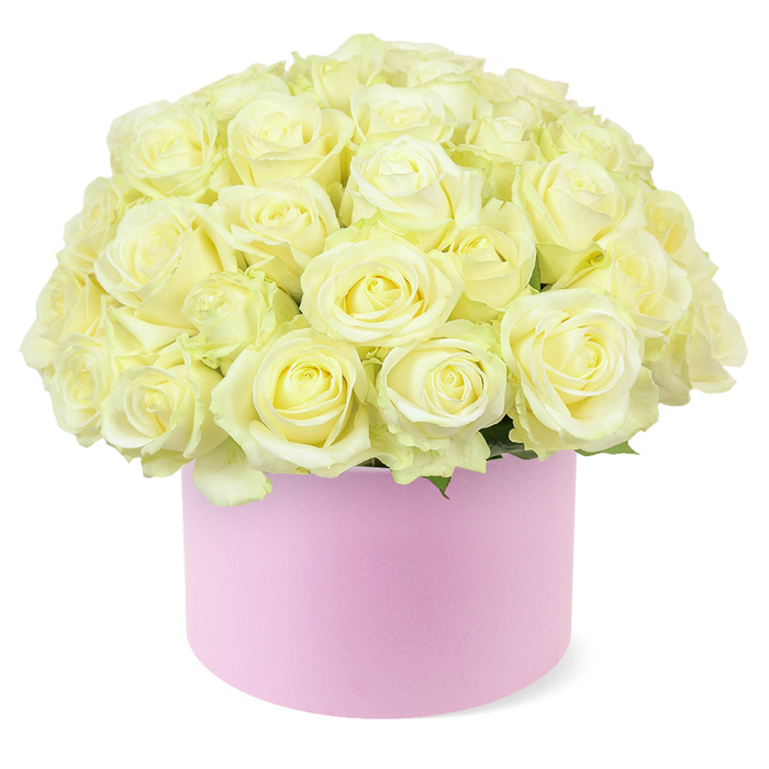 A lavish cluster of roses, ranging from soft white through creamy ivory to the palest hint of pastel yellow at their centres, fills a round pastel pink hat box to overflowing, forming a perfectly domed bouquet that draws the eye immediately. Each rose has been placed with deliberate care, so the velvety petals overlap and touch, creating a lush, continuous surface where individual blooms blend into a unified, sculptural mass. The roses are mostly fully open, their spiralling petals curling outward in classic romantic forms, yet they still retain the freshness and plumpness of newly opened flowers, suggesting they were arranged only moments ago by an experienced hand. Between the blooms, near the lower edge of the dome, a few slender glimpses of fresh green foliage can be seen, just enough to add life and depth without breaking the creamy colour harmony. The supporting hat box is a soft blush pink with a smooth, matte finish, evoking luxury packaging and the tactile pleasure of fine paper or suede-like card. It stands solid and understated beneath the exuberant dome of petals, allowing the roses to take centre stage. The entire arrangement is photographed against a bright, uncluttered white background, so every curve of petal and nuance of colour is clearly defined. This composition feels suited to an intimate anniversary dinner in a Grove Park townhouse, a romantic surprise delivered to a flat near the Thames Path, or a refined gift for a couple celebrating many years together in the quieter corners of West London, reflecting both contemporary style and timeless affection.