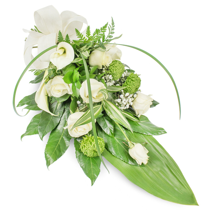 An elegant, elongated tribute arranged in serene whites and verdant greens, presented against a white background with the careful touch of Grove Park Florist's workshop sensibilities. The piece features several creamy white roses-some opening fully to reveal layered, velvety petals, others held as delicate buds-balanced by two sculptural white calla lilies that lend an air of purity and simplicity. Bright lime-green, textured button chrysanthemums are peppered through the composition to give a modern contrast and tactile interest, while sprays of tiny white baby's breath soften edges and create an ethereal veil across the bouquet. The foliage is thoughtfully layered: deep, glossy leaves build weight and depth; variegated leaves with crisp white striping add quiet patterning; delicate fern fronds bring a light, woodland note to the topmost section. Two long, elegant blades of vivid green arch across the arrangement, introducing movement and a contemporary silhouette as the arrangement tapers to a smooth, prominent tropical leaf that forms the pointed tail. A cream-coloured fabric bow at the upper left offers a subdued, comforting finish. In soft daylight the arrangement gives off a faint, clean scent of greens and roses, and the textures range from silky rose petals to the velvet-like buttons of chrysanthemum and the glossy sheen of foliage. Designed as a funeral spray or memorial tribute, it conveys dignified remembrance for services across Grove Park, Lee Green and nearby community venues, offering quiet solace through considered floral craftsmanship.