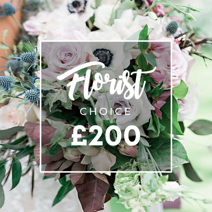 An elegant, high quality photograph captures a premium Florist Choice bouquet at a mid-price point of ?200, presented in a soft-focus close view. The arrangement layers soft pastel and subtle lavender-tinged blooms-light pink garden roses and creamy white to pale lilac roses-intermixed with crisp white anemones showing their darkest centers. A dash of spiky eryngium adds cool blue texture, while lush green foliage-eucalyptus-like leaves and burgundy-tinged leaves-gives depth and opulence. The bouquet is densely arranged yet natural, as if freshly gathered from a garden on the edge of a residential district near Grove Park, with a light, airy atmosphere and a hint of dew. A semi-transparent white rectangle overlays the center, bearing the text Florist Choice in elegant script and the price ?200 in bold white numerals. The background remains softly blurred, suggesting a sunlit outdoor setting or a bright studio, letting the intricate detail of each bloom command attention. The image embodies a bespoke, professionally curated floral offering, ideal for weddings, anniversaries, or a statement gift that signals care, craft, and local connection. Customers in the area will appreciate the precise balance between luxury and approachability, with fresh blooms and reliable delivery across the patch around Grove Park and nearby communities.