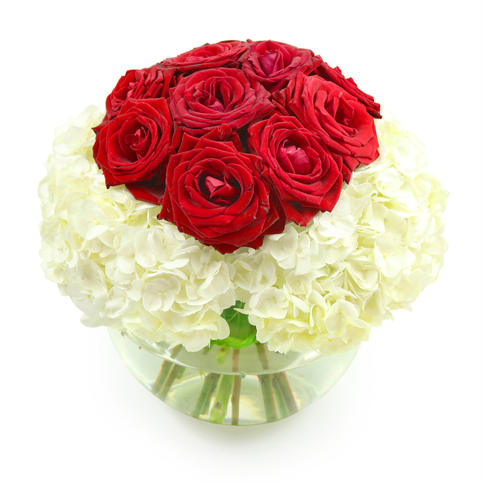 The photograph presents a beautifully composed floral arrangement that seems tailor-made for marking a special anniversary in Grove Park. At the top, a dense cluster of deep red roses forms a domed centerpiece, each bloom poised in full, romantic splendour. Around ten to twelve roses are nestled shoulder to shoulder, their velvety petals layered in intricate spirals that invite the imagination to trace each curve. The intense crimson hue is rich and saturated, conveying warmth and passion without appearing overpowering. Surrounding this central crown of roses is a voluminous collar of creamy white hydrangeas, which provide a soft, cloud-like foundation. The hydrangea heads are composed of many small, rounded florets, packed closely together to create a plush, pillow effect that visually supports the roses. This interplay of textures-smooth, opulent rose petals against the fine, clustered hydrangea blossoms-gives the arrangement depth and dimension. Everything is gathered neatly into a clear, round glass fishbowl vase, partially filled with clean water. The green stems are visible beneath the surface, crossing gently and adding an organic, structural element that complements the refined flowers above. The background is stark white, providing a blank canvas that makes the red and white palette stand out boldly while maintaining a feeling of calm and purity. The overall shape is spherical and harmonious, ideal for a dining table centrepiece or a prominent place in a living room overlooking the leafy streets near Grove Park or the nearby River Thames. The bouquet speaks of thoughtfulness and enduring commitment, like a quiet promise renewed year after year.
