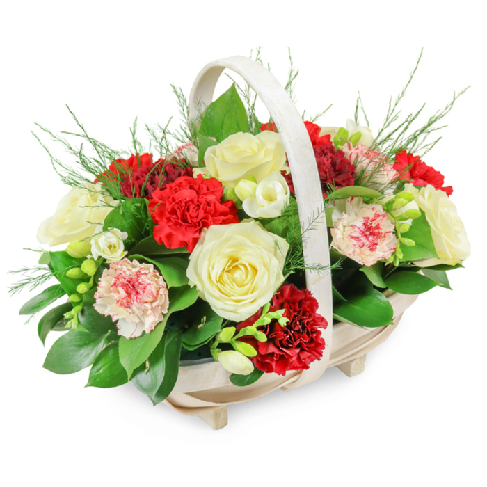 A graceful funeral flower basket is photographed in clear, even light against a spotless white background, every line and texture carefully revealed. The container is an oval basket made from pale, natural wood, its slats smoothly finished and joined to create a subtle, footed base that lifts it just above the surface. A matching arched handle rises from side to side, forming a soft, sheltering curve that echoes the dome of blooms below. Inside, the flowers are arranged in a full, rounded mound that gently overflows the rim, giving the impression of a tribute thoughtfully filled to the brim with affection. At the heart of the design, creamy white roses open in full, velvety spirals, their petals layered in tight formation and catching the light with a soft, satin sheen that conveys serenity and remembrance. Interwoven among them are clusters of deep red carnations, the ruffled, multi-petalled heads forming pools of rich colour that symbolise devotion and heartfelt sorrow. To temper this intensity, paler carnations in shades of gentle pink and white, some lightly edged or speckled with red, are placed throughout, bringing a tender warmth that feels deeply personal. Delicate sprays of small white flowers, similar to freesias, with slender stems and bell-shaped blooms, weave between the larger heads, some blossoms open, others still in bud, adding subtle movement and a quiet sense of life continuing. The blooms rise from a substantial bed of dark, glossy greenery, most likely ruscus or salal, whose broad leaves provide structure, while fine, feathery fronds of fern-like foliage soften the outline and introduce an airy, natural dimension. This dignified, balanced arrangement could easily be imagined resting in a Grove Park church, in a chapel near Chiswick, or delivered by Grove Park Florist to a family home as a gentle, fragrant expression of sympathy.