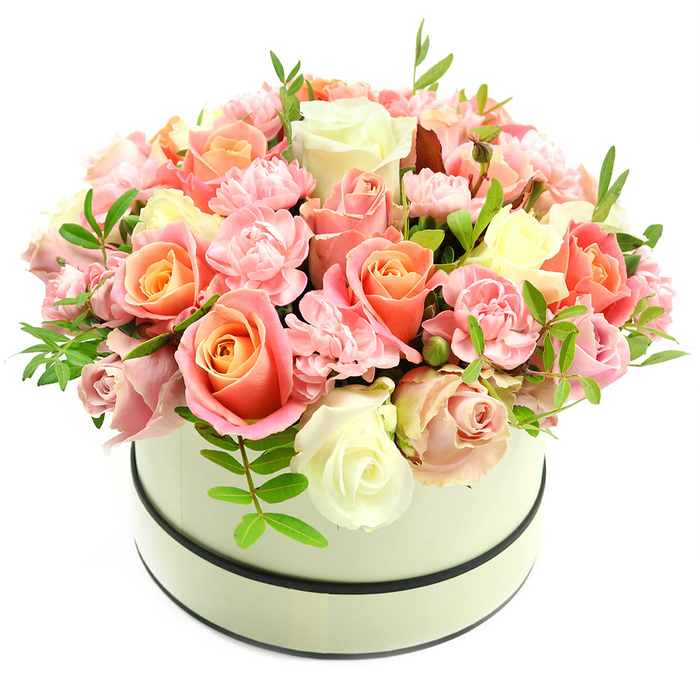A clean white background frames an elegant, cream-coloured round hatbox, its matte finish set off by two precise, dark bands-one at the lip and one near the base-which lend the container a quietly modern, architectural feel. The box overflows with a lush, rounded bouquet composed primarily of roses and carnations, densely packed into a smooth dome. The roses are the arrangement's focal point: many show deep coral-peach centres that softly fade through apricot tones into pale blush and finally to ivory at the petal tips, while others present as pristine cream or gentle pink buds, giving varied depth and rhythm across the surface. Interspersed between the larger blooms are clusters of small, frilly light-pink carnations, their ruffled textures creating delicate shadows and a tactile softness against the smoother rose petals. Thin sprigs of fresh green foliage with elongated leaves peek through like small breaths of spring, adding contrast and a touch of garden freshness. The overall effect is of considered abundance-luxurious yet intimate-suitable for marking birthdays, anniversaries, or as a heartfelt thank-you. The flowers' velvety petals and subtle, powdery scent evoke the quiet pleasure of a morning stroll past local green spaces in Grove Park, while the precise placement of each stem reveals practiced floral technique. This composition reads as both a sophisticated gift and a comforting presence, offering beauty, scent, and texture in equal measure.