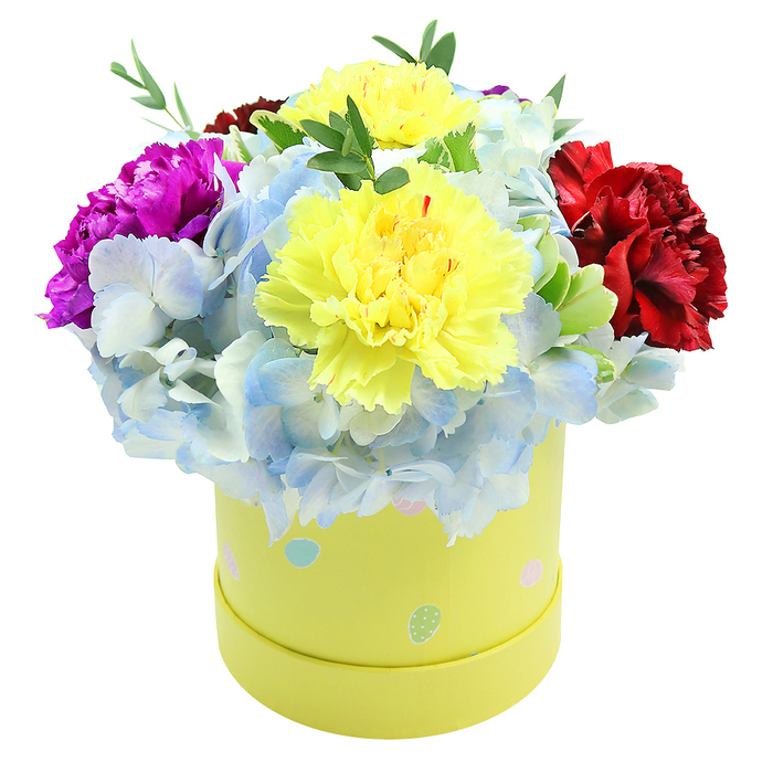 Viewed slightly from above, this compact, dome-shaped bouquet sits in a smooth cylindrical lemon-yellow box and presents a lively study in colour, texture and careful floristry familiar to residents of Grove Park and the surrounding Lewisham neighbourhood. Two fluffy yellow carnations occupy the centre, their finely ruffled petals catching diffused daylight and radiating warmth. Encircling them are abundant clusters of pale periwinkle hydrangea, each tiny floret layered to create a soft, cloud-like cushion that cools the composition and invites touch. A dramatic magenta carnation nests to the left, its saturated tones bright and energetic, while a velvety burgundy-red carnation on the right gives depth and a sense of balance. Slim sprigs of fresh green foliage emerge intermittently, their glossy leaves and slender stems adding vertical contrast and a freshly gathered scent reminiscent of nearby Chinbrook Meadows or a morning visit to the Grove Park market. The paperboard hatbox is playfully adorned with irregular pastel dots and small egg-like shapes in light blue, soft pink and pale green, some with minute white speckles; these decorative notes suggest springtime celebrations, new beginnings or a framed birthday sentiment. The overall effect is cheerful and meticulously curated: a premium yet approachable gift that reads as both celebratory and intimate. Subtle shadows fall beneath the petals on the pristine white background, emphasizing the arrangement's volume and the florist's attention to compact, balanced design - ideal for a bedside table, a small mantelpiece or as a thoughtful delivery across Grove Park.