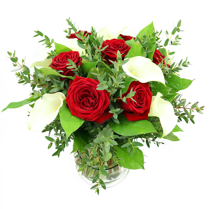 A luxurious floral arrangement of deep red roses and white calla lilies is presented in a simple, cylindrical glass vase, set against a pure white background that brings every colour and contour into clear focus. At the center, around six to seven large roses are fully open, their densely layered petals forming intricate spirals in rich crimson tones that immediately convey passion and depth of feeling, the kind of bouquet perfect for a special evening near Grove Park. Nestled among these roses, four to five calla lilies stretch upward, each bloom defined by sleek, trumpet-shaped petals in creamy white, gently flaring at the edges and cradling a warm, yellowish-orange spadix. This contrast between the velvety texture of the roses and the smooth, almost porcelain surface of the calla lilies creates a dynamic interplay of touch and light. Encircling the main blooms, an abundance of foliage adds volume and freshness: slender eucalyptus branches with rounded, misty blue-green leaves weave lightly through the arrangement, while broader, darker green leaves form a full, rounded base that echoes the lush greenery found along the quiet residential streets of Grove Park. Through the clear glass vase, you can see the straight green stems bundled neatly and immersed in clear water, a detail that underlines the bouquet's freshness and careful preparation by Grove Park Florist. A subtle ribbed feature near the base of the vase catches the bright, even lighting, which also enhances the saturated reds, pure whites, and varied greens. Soft shadows fall behind the arrangement, reinforcing its three-dimensional shape. This bouquet feels both classic and modern, ideal for weddings, anniversaries, or as a refined centerpiece for a gathering in a Grove Park home.