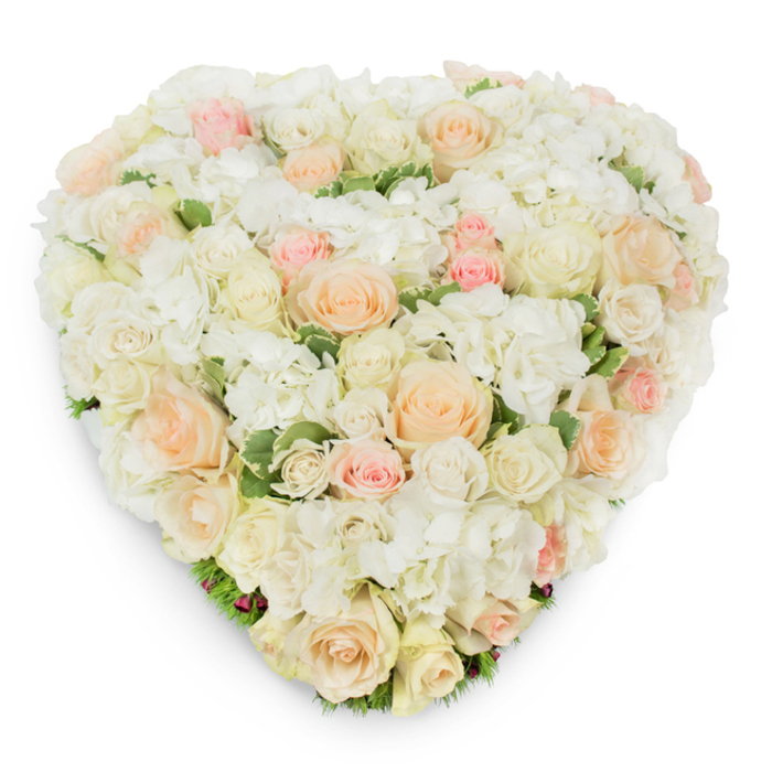 A meticulously constructed heart-shaped floral piece photographed from above on a stark white surface, this composition balances opulence with restraint. The dominant texture comes from abundant white hydrangea clusters-each tiny floret layering into a fluffy, cloud-like base-upon which a profusion of roses sits, ranging from minute, tightly wound buds to broad, fully cupped flowers. The roses trace a gentle tonal arc across the heart: luminous white and warm cream at the centre easing into the subtlest shades of pale peach and blush pink toward the outer planes, producing an overall effect of serene luminosity. Intermittent hints of deep green, slightly variegated leaves provide a cool counterpoint and help articulate the heart's edge, while the photographer's overhead light casts a faint, natural shadow that reveals the arrangement's relief and careful hand-placed construction. When experienced in person the piece carries the faint, comforting scent of fresh roses layered over a green, dewy undertone from the foliage and hydrangeas. The mood is one of composed dignity and gentle remembrance, a design frequently chosen for memorial services, funeral tributes, or anniversaries to honour a loved one. Crafted locally by Grove Park Florist close to Grove Park station and familiar to families who use nearby churches and chapels, this arrangement reads as a careful, personal statement-each bloom selected and positioned to express lasting affection and quiet consolation. It conveys both the practical tact of a seasoned floral professional and the tender intention of someone offering comfort.
