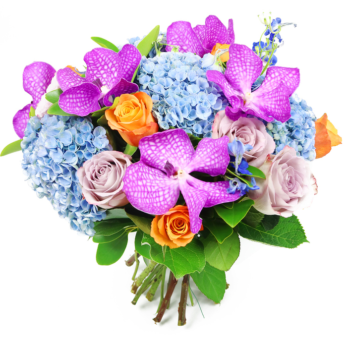 A vibrant, luxurious bouquet is shown here in front of a stark white background, every bloom and leaf clearly defined. Dominating the composition are several Vanda orchids, their petals an opulent blend of fuchsia and deep magenta, finely patterned with tiny white flecks that form a subtle, reticulated design, giving each flower an exotic, high-end feel. These standout orchids rise from a generous foundation of sky-blue hydrangeas, whose many tiny florets gather into rounded, voluminous heads. The hydrangeas' cool tones introduce a sense of serenity and balance, and their plush texture makes the bouquet appear rich and abundant, like a soft cushion of colour ready to be placed in a Grove Park living room. Threaded among them are roses in complementary hues: some in bright, peachy orange with tightly coiled centres that radiate warmth and optimism, and others in muted dusty lavender and mauve, lending an air of understated romance. Fine stems of deep, vivid blue accent flowers, akin to delphiniums, peek out from between the larger blossoms, adding subtle height and creating pockets of shadow and depth within the arrangement. Surrounding the bouquet, broad, glossy green leaves provide a lush, natural border that enhances the brilliance of the blooms and underscores the sense of freshness, as though the flowers were prepared that morning in a Grove Park Florist workshop. At the base, the stems are evenly cut and firmly bound, forming a tidy, domed hand-tied shape that speaks of expert craftsmanship. The bouquet feels ideal for marking special occasions, from anniversaries to thoughtful thank-you gestures, and would make a striking focal point in homes and venues around Grove Park.