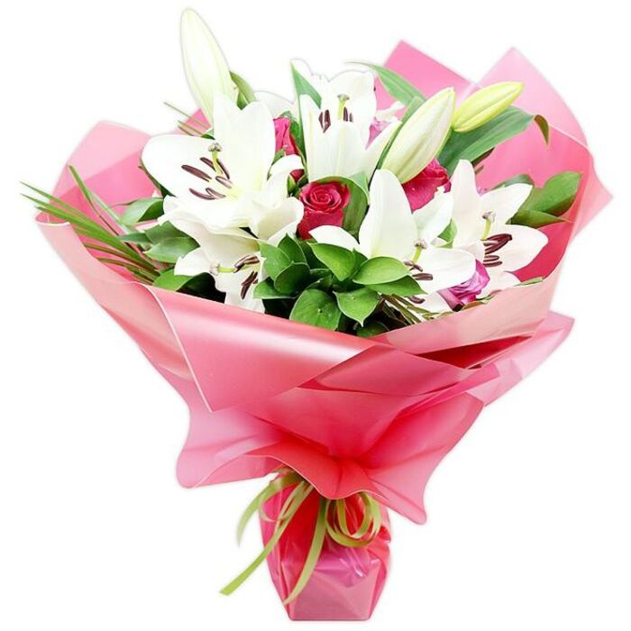 A luxurious hand-tied bouquet of white lilies and red roses appears centred against a bright white background, the arrangement clearly composed with an experienced florist's eye. Towering above the rest, Oriental lilies unfurl in various stages of bloom: some blossoms are wide open, revealing five or six softly arched white petals that form a graceful star, with elongated stamens topped in dark, cinnamon-brown anthers extending from pale green hearts. Nearby, several lily buds remain tightly closed, their outer layers a blend of creamy white and soft green, adding height and a promise of continued flowering. Carefully woven among these larger flowers are numerous deep red roses, many in compact bud form, their petals layered like velvet and rich as burgundy silk, introducing a romantic, almost dramatic contrast to the lilies' purity. The bouquet is cradled by abundant foliage, with broad, glossy green leaves and fine, grass-like blades that loop and cascade gently, giving the design fluidity and volume. Everything is wrapped in a vibrant layer of shiny, translucent pink cellophane or floral paper, gathered generously around the stems and rising in soft, undulating folds that frame the blossoms like a festive ruffle. The stems are cinched at the base with a slender lime green ribbon, neatly knotted so that its bright, fresh colour and smooth satin sheen provide a crisp finishing touch. This bouquet would feel perfectly at home being delivered around Grove Park, perhaps to a cosy house off Fauconberg Road or as a cheerful centrepiece for a family lunch near Chiswick High Road, carrying the sweet perfume of lilies and the gentle scent of roses into the room.