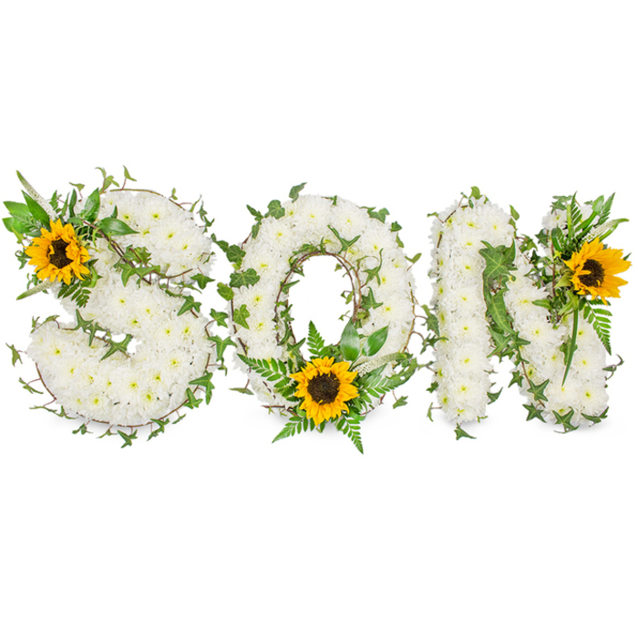 This carefully composed floral tribute presents the letters SON in a horizontal line, each letter sculpted from hundreds of compact white chrysanthemum heads to produce a uniformly soft, textured topology. The chrysanthemums are small-flowered varieties whose dense petal layers create a pillowy surface; under diffuse studio lighting their ivory tones register as pure and serene against an immaculate white backdrop. Interlaced through the chrysanthemum matrix are strands of dark green ivy, their pointed leaves and flexible stems threaded to outline and soften the letter edges while adding subtle depth and shadow. Complementing the white-and-green structure are three large sunflowers with broad golden petals and pronounced dark brown discs: one anchors the upper left curve of the S, another interrupts the lower arc of the O where it sits amid fern fronds and pointed greenery, and the third accentuates the upper right diagonal of the N. The composition balances formality with natural movement-the rigid letter shapes contrasted by the ivy's looping tendrils and the sunflowers' radial geometry. Photographed on a stark white field with controlled, even lighting, the image reveals fine details: the chrysanthemum petal tips, the sunflowers' pollen-dusted centres, the fern frond veins and the ivy's glossy surface. Texturally and emotionally this piece reads as a dignified funeral tribute for a son-ceremonial yet infused with warmth-and would be suitable for use in memorial services around Grove Park and neighbouring south east London areas, presented by an experienced florist mindful of tradition and tenderness.