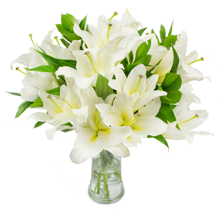 An expansive, carefully composed bouquet of white lilies stands prominent against an immaculate white background, each blossom captured with clarity and gentle light. The flowers exhibit multiple layers of broad, immaculate petals that unfurl in soft arcs; within many blooms a faint creamy-yellow or pale green tint gathers at the throat, lending a warm, organic depth to the otherwise brilliant white. From the heart of several open flowers rise long stamens with subtle greenish-yellow filaments tipped by muted brown anthers, lending a sculptural, botanical detail that draws the eye inward. The blooms are woven through with numerous long, lance-shaped leaves in a deep, verdant green-glossy, healthy foliage that grounds the bouquet and creates a lush, full silhouette. The arrangement is held in a clear, classic-shaped glass vase with a softly flaring neck and a sturdy base; the water within is transparent and reflective, revealing the clean-cut pale green stems as they descend. As a visual and olfactory impression, the bouquet suggests serenity and careful curation: it could be placed as a tasteful focal point in a modern sitting room, offered as a comforting arrangement for remembrance, or used to mark a refined celebration. I picture it being chosen by a neighbour after a walk through Grove Park Nature Reserve or collected by someone visiting the nearby Hither Green shops-an image of purity that speaks to local moments of solace and understated joy.