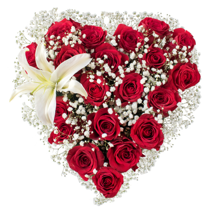 This heart-shaped arrangement is an exercise in classic romance, crafted from a rich assembly of deep crimson roses and soft, white gypsophila against a stark white background that isolates and celebrates every hue and texture. The red roses are arranged so densely that the heart's surface reads like a plush carpet of velvet-petals layered, curled, and catching the light at different planes-while the tiny, star-like baby's breath peeks through and forms a delicate border that softens the outline. Anchoring the composition in the upper-left quadrant, a single white lily opens with broad, sculptural petals, a pale cream at its throat and yellow stamens at its center that add a discreet, warm note. The overall lighting is even and natural, highlighting the roses' depth of colour and the lily's satin finish without harsh reflections; shadows sit softly in the cupped petals to emphasize form and depth. As a florist who knows local rhythms around Grove Park Nature Reserve and the quieter residential streets nearby, I picture this piece carried from the shop to a front door on a spring afternoon, its scent unfolding slowly: heavy, romantic rose softened by the lily's fresher, green perfume and the almost-cottony presence of gypsophila. The arrangement speaks of dedication and refined taste-perfect for Valentine's Day, meaningful anniversaries, or as an elegant, heartfelt gesture when words are not enough.