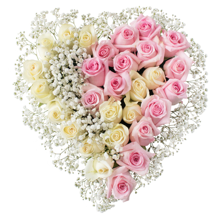Refined heart-shaped floral display created as a tribute for funerals or memorials, featuring two complementary tones of roses outlined with baby's breath, all set against a bright white background. The heart is carefully structured so that a clear central line divides it into two matching sections, each full of roses arranged closely together. On the left, creamy white roses shaded with hints of pale lemon and ivory are densely packed, their velvety petals opening outwards in even spirals, giving a feeling of light, calm, and purity. On the right, a mirror image appears in medium pink roses, equally fresh and open, their soft rosy tones bringing a touch of warmth and affection that feels especially fitting for family tributes or expressions of deep friendship. Tiny white clusters of gypsophila wind throughout both halves, filling empty spaces and lending a delicate, mist-like quality, while an outer ring of baby's breath traces the heart's silhouette, making the outline unmistakable from every angle. The overall presentation suggests the work of a meticulous local florist in Grove Park, someone used to preparing meaningful tributes for services in nearby churches, chapels, and crematoria. The piece carries a mood of quiet dignity and heartfelt emotion, suitable for resting beside a coffin, beneath a framed photograph, or on a memorial table. With its dual tones of white and pink roses and its soft gypsophila edging, this heart speaks gently of remembered kindness, shared moments, and the wish to say farewell with grace and beauty.