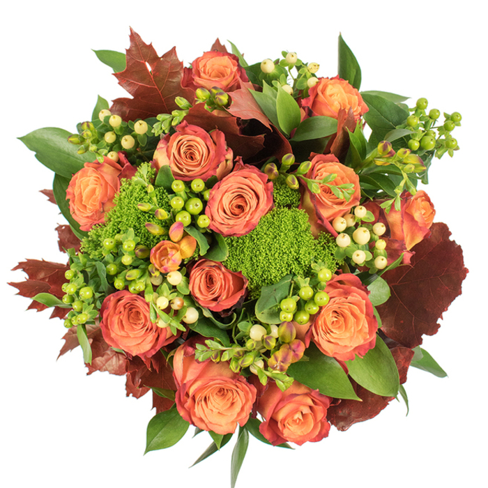 Captured from above, on a plain white surface that isolates every colour and silhouette, this autumn bouquet is a study in warm contrast and tactile detail. A generous ring of fully bloomed roses takes centre stage, each flower showing a soft internal peach that graduates outward to coral, orange and finally a russet-tinged rim - as if the petals themselves were reflecting the last light of a September sun. Nestled between those roses are clusters of Hypericum berries in two moods: a vivid, almost neon lime-green and a pale, creamy yellow, their waxy skins offering a bright, graphic note against the matte petals. Counterbalancing those highlights are balls of green trick dianthus, dense and sponge-like, adding an almost woodland texture that feels like a miniature patch of verdant moss. Intermittent, deeply coloured foliage - broad, lobed leaves in shades of burgundy, deep red-brown and burnt orange - give the arrangement its seasonal silhouette and a pleasing rustic weight, reminiscent of leaves found on a walk through a Grove Park green space. Fresh, glossy leaves fill the negative spaces, creating a lush backdrop and a sense of generous abundance. Soft, ambient light from above brings out the velvety surface of the roses and the gloss of the berries, casting soft shadows that emphasize the bouquet's layered structure. Crafted with thoughtfulness for home gatherings, seasonal gifting, or as a table centre for harvest celebrations, this composition pairs the gentle perfume of roses with the earthy, mossy notes of textured fillers to convey warmth, gratitude and autumnal comfort.