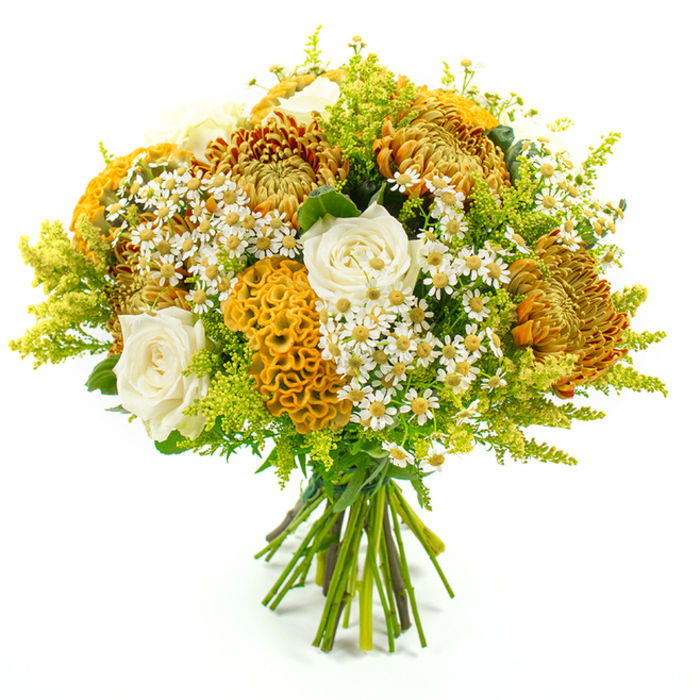 A beautifully composed, autumn-inspired bouquet stands tall against a plain white background, its stems gathered neatly and secured with green florist's tape to create a rounded, domed silhouette. The centre of the arrangement is dominated by showy chrysanthemums in a palette of golden yellow, burnt orange, and deep amber, their densely layered, spiky petals overlapping in intricate patterns that lend the bouquet a sense of richness and movement. Interspersed among these vivid blooms are several creamy white roses, each one a soft spiral of velvety petals that appear freshly opened, bringing a gentle, romantic lightness to the design. Adding a captivating sculptural element, yellow-orange celosia blooms curve through the bouquet, their velvety cockscomb heads folding and rippling like coral formations, creating interesting shadows and texture against the smoother rose petals. Scattered throughout, small white daisy-like matricaria with bright yellow centres contribute a carefree, meadowy feel, as if the bouquet had been gathered on a leisurely stroll through the green spaces around Grove Park. Encircling all these flowers, plumes of lime-green solidago and other lush foliage billow outward, building volume and a vivid natural frame that makes the warmer shades at the core appear even more radiant. The greenery's mix of feathery and broader leaves gives the arrangement a layered, organic look while still clearly showcasing careful florist craftsmanship. Under bright, even lighting, each tone and texture-from the ruffled tips of the chrysanthemums to the delicate daisy petals-is clearly defined, with no harsh shadows to distract from the colours. The bouquet conveys the warmth and comfort of the harvest season, ideal for an autumn dinner party, a welcoming hallway display in a Grove Park home, or a thoughtful gift that brings the beauty of the changing season indoors.