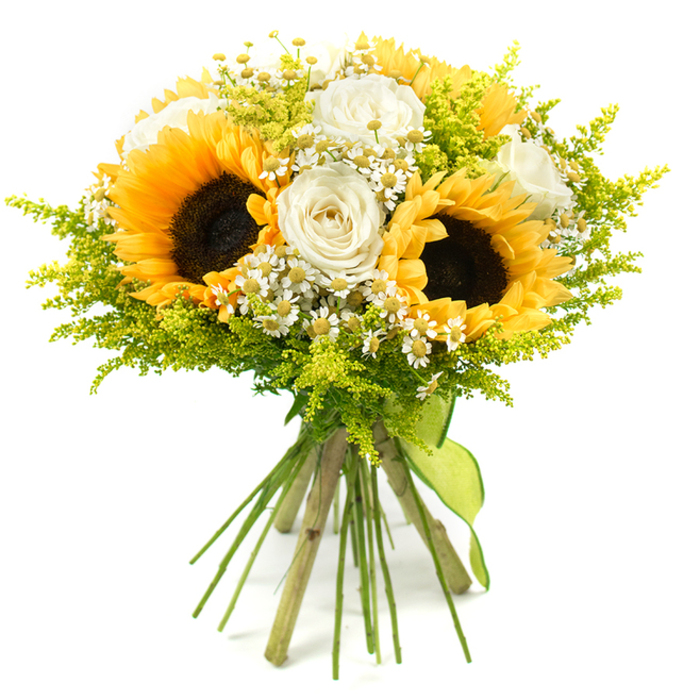 A vibrant, cheerful bouquet stands out sharply against a clean white backdrop, its colours and textures arranged with the careful ease of a seasoned florist from the Grove Park community. Several striking sunflowers form the main focus, their large, dark brown centres packed with seed and surrounded by bold rings of golden-yellow petals that tilt outward as if turning toward the sun. Cradled between and around these commanding blooms are creamy white roses, some tightly furled into elegant buds, others partially or fully open so their velvety petals unfold in soft spirals with hints of ivory along the edges. Adding a charming, intricate layer of detail are numerous small, daisy-like white flowers-resembling chamomile or feverfew-with miniature yellow centres that echo the sunflowers while lending the arrangement a light, countryside feel. Wisps of lime-green filler foliage, much like solidago, thread throughout the bouquet, their feathery texture and tiny buds giving the design a sense of airiness and movement, as though a gentle breeze along the local streets were rustling the stems. Together, these elements create a full, rounded silhouette that feels abundant without appearing stiff. The exposed stems are kept long, neatly aligned, and bound firmly at the base with a coordinating lime-green ribbon that encircles them and trails softly, adding a touch of understated elegance. The bouquet exudes warmth, joy, and natural charm, evoking sunny afternoons in nearby parks and quiet gardens, and is an ideal choice for birthdays, congratulations, thank you gifts, or any occasion when you want to send a bright, heartfelt gesture within Grove Park and the surrounding areas.