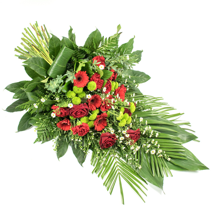 Displayed against a stark white background, this long sympathy spray combines traditional funeral flowers with a contemporary sense of line, producing a tribute that feels both classic and current. The design follows an elongated teardrop shape, starting with a rich, full base and gently narrowing to a refined tip, ideal for adorning a casket or standing prominently by a lectern during a memorial in Grove Park. At its heart, a generous grouping of deep red roses provides the central point of focus, their plush, velvety petals opening in layered spirals that suggest devotion and remembrance. Around and between them, red gerbera daisies with contrasting dark centres and clusters of ruffled red carnations extend the crimson palette, offering variations in tone and texture that keep the eye moving. Interspersed throughout the reds, small lime-green button chrysanthemums create lively bursts of colour, their compact, spherical blooms introducing a fresh, modern twist that enlivens the design without diminishing its solemnity. Laced between these bolder flowers, dainty white fillers, such as gypsophila or tiny daisies, appear as soft, star-like flecks, lending lightness and a sense of breath within the arrangement. The floral elements arise from a lush foundation of green foliage: broad, glossy leaves that form a solid base, fine leatherleaf fern that adds feathery detail, and other mixed greens that stretch the silhouette outward. On the lower right side, several long, slender palm-style leaves fan gracefully outward, echoing the spray's flowing direction, while at the top left, a vertical bundle of stiff stems, elegantly wrapped with a single folded leaf, introduces height and a structured, contemporary accent. This carefully composed piece feels well suited to the tranquil, residential nature of Grove Park, bringing a message of sympathy and quiet strength to any farewell gathering or celebration of life.