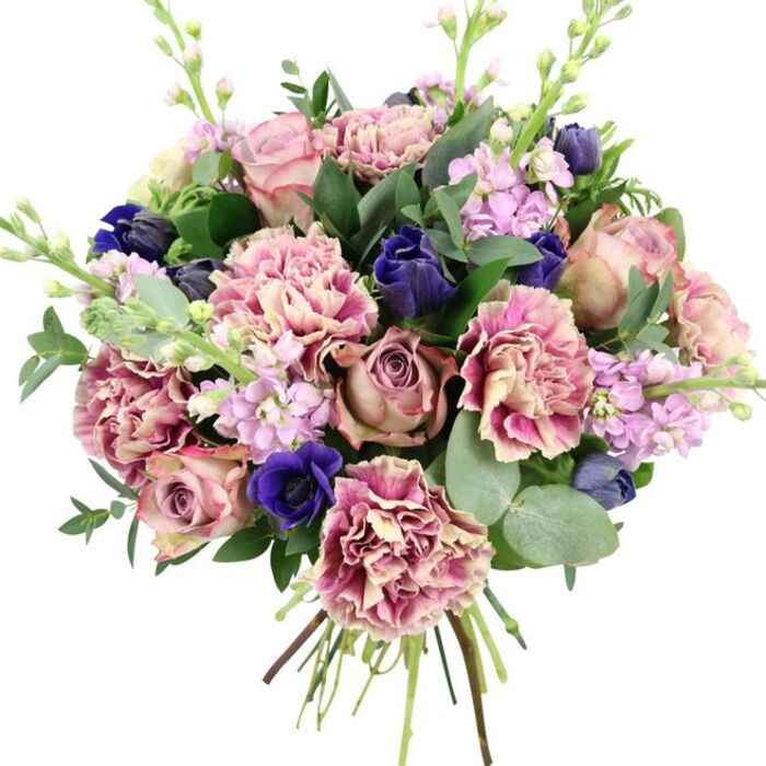 A richly detailed bouquet fills the frame against a pure white background, its colours and textures carefully composed to feel both modern and romantic. The focal point lies in several large garden roses, fully open and luxuriant, in muted tones of blush pink, dusty mauve, and antique rose, their petals spiralling inward like finely folded fabric. Nestled among them, frilled carnations add generous volume, each bloom displaying a soft transition from creamy beige and pale blush at the centre to more saturated rose and fuchsia tones along the delicately ruffled edges, creating a sense of movement as if stirred by a gentle breeze. Threaded throughout are deep indigo and royal blue flowers, some appearing as smooth, closed buds reminiscent of tulips, others more open, including a standout blue anemone with a dark, almost inky centre that pulls the eye downward and grounds the design. Slender wands of lilac and pale lavender stock rise gracefully, their small clustered blossoms bringing vertical interest and a whisper of airy lightness. The flowers are embraced by abundant greenery: dark, glossy leaves, likely from the roses, mingle with rounded, silvery eucalyptus foliage, adding a cool, serene undertone and hint of aromatic freshness. At the base, the stems are visibly gathered and tied, marking this as a classic hand-tied bouquet that could be placed straight into a favourite vase in a Grove Park home overlooking the river or near the quiet streets by the station. The palette of pinks, purples, blues, and fresh greens comes together in a design that feels ideal for weddings, anniversaries, or simply sending a thoughtful, elegant message to someone special in the local area.