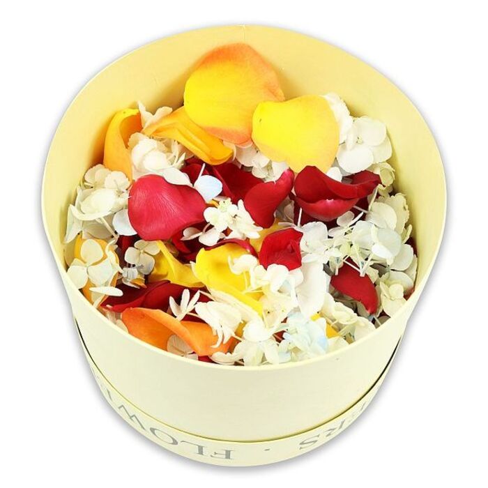 The photograph presents a close, almost overhead view of an elegant, pale cream cylindrical box filled completely with a vibrant assortment of dried petals and tiny blooms, with no lid in sight, just a dome of colour framed by the box's clean edge. Its surface is smooth and slightly matte, and just below the rim the faint outline of the word FLOWERS curves around, as if gently pressed into the material-a subtle detail that hints at a florist's care, much like the thoughtful arrangements crafted at Grove Park Florist. Inside, the petals seem to rest in natural layers, yet the overall effect feels artfully composed. Luxurious crimson rose petals, deep and velvety, spread across the top like rich fabric, their edges slightly ruffled from the drying process. Intertwined with them are bright, sunny yellow petals and soft peach-orange tones, creating pockets of warmth and light that bring a feeling of quiet hope to the arrangement. Scattered delicately throughout are tiny white and almost translucent pale blue hydrangea florets, their clusters of four-petalled flowers adding a flurry of soft texture. The interplay of bold colour and gentle whiteness creates a soothing rhythm, reminiscent of watching leaves drift on the river by Grove Park. Set against a crisp, pure white background, the composition feels contemplative and uncluttered, suggesting that these petals are ready to become part of a personal farewell ritual. They could be used as natural, biodegradable confetti at a funeral or celebration of life, arranged around candles on a memory table, or placed in bowls for guests to gently scatter as they pay their respects, offering a touching and tactile way to honour a loved one's memory.