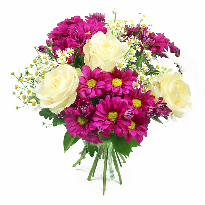 Against a clean, high-key white background, a beautifully balanced bouquet appears almost to glow, its blend of colours and shapes carefully composed. The central stars are several large, fully opened roses in creamy white with soft hints of pale yellow at their cores, their petals unfolding in tight, elegant spirals that speak of classic floristry. Around them, generous clusters of fuchsia-magenta chrysanthemums provide a vivid contrast, their many slim petals radiating from cheerful yellow-green centres like tiny suns. These mums give the bouquet a sense of fullness and playful energy. Threaded through the main flowers are delicate sprays of dainty white daisies, similar to chamomile or feverfew, their miniature white petals and bright yellow discs adding a light, airy layer, as though the bouquet carries a piece of a summer field near Grove Park's green spaces. Varied green foliage-broad chrysanthemum leaves, smooth rose leaves, and finer filler greenery-fills any gaps, deepening the palette and defining the rounded silhouette of the design. All the stems are gathered together in a tidy bundle and finished with a green and white gingham-style ribbon tied snugly, reinforcing a hand-tied, artisanal feel that suits a small local flower shop. Bright, diffuse lighting reveals each petal's texture without overpowering glare, casting soft shadows that subtly model the bouquet's volume. The arrangement feels joyful yet refined, ideal for marking birthdays, saying thank you, or welcoming someone to a new home in Grove Park, whether it's a house tucked off Burlington Lane or a flat overlooking the quiet streets leading towards the Thames.