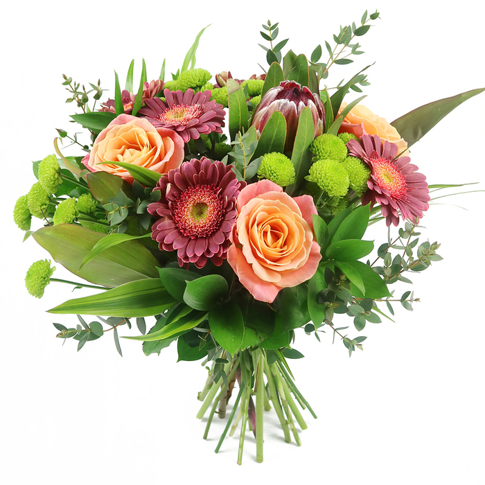 A beautifully composed hand-tied bouquet is shown against a bright white background, allowing every detail of the flowers and foliage to stand out with clarity, as if laid out on a florist's bench in Grove Park. At the centre, generous roses bloom in tonal shades of peach, apricot and salmon pink, some with pale, almost cream outer petals that deepen into warm orange at the core. Their layered, softly ruffled petals create a plush, romantic texture that immediately draws the eye. Framing these roses are Gerbera daisies in deep magenta, fuchsia and velvety burgundy, each flower a perfect circle of slim, radiating petals surrounding a contrasting, textured centre that ranges from darker berry tones to lighter rings of pink, adding depth and intricacy. Rising proudly within the upper part of the arrangement, a single King Protea provides a striking focal point, its bold, cone-shaped form built from stiff, tapered bracts in shades of maroon and reddish-brown, with delicate blush-pink tinges at the tips, lending the design a touch of the exotic. Threaded throughout and peeking between the larger blooms, lime-green Santini chrysanthemums form neat, spherical buttons, their vibrant colour and compact, pom-pom structure creating playful highlights and soft, cushiony texture. The bouquet is generously surrounded by a variety of foliage: broad, glossy green leaves form a strong visual base; long, arching, sword-like blades add dynamic lines; and sprigs of eucalyptus with rounded, silvery-green leaves introduce a sense of openness and gentle movement. The stems are tightly gathered and cut to an even length, clearly showing a hand-tied, ready-to-vase presentation. With its harmonious blend of warm and fresh tones, this bouquet feels perfect for marking birthdays, anniversaries or thoughtful thank-you gestures across Grove Park and the nearby neighbourhoods of Chiswick and Brentford, bringing a burst of colour and contemporary elegance indoors.