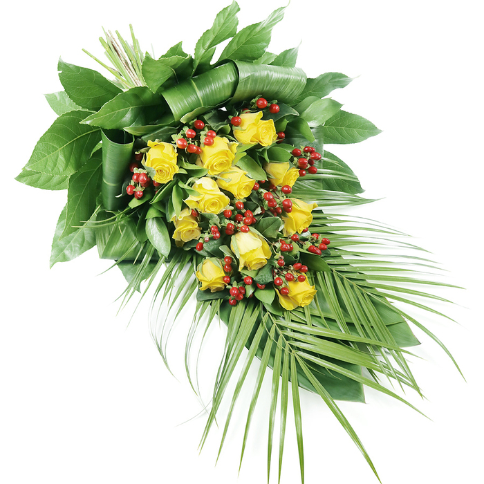 Against a pristine white backdrop, this elegant funeral spray takes on a calm, contemplative presence, reminiscent of a peaceful walk through the green spaces around Grove Park. The arrangement stretches diagonally from top left to bottom right, its stems tightly bound at one end, keeping the design low and flat, perfect for resting on a coffin or memorial stand. The central feature is a lavish cluster of yellow roses, numbering around fifteen to twenty blooms. These roses vary in openness, which brings a natural, organic rhythm to the composition. Some show only a hint of colour as tightly curled buds, while others have petals that open in soft, overlapping spirals, revealing a spectrum of yellow from pale, buttery outer edges to deeper golden centres. Nestled among the roses are clusters of small, rounded, bright red berries, probably Hypericum, their glossy surfaces catching the light and providing a vivid contrast to the warm yellow tones. Encircling and supporting the blooms is an abundance of greenery. At the top left, sturdy, dark green leaves form a dense, carefully structured base, some expertly folded and layered to create an almost sculptural backdrop for the flowers. From the lower right, several long, slender palm-like fronds sweep outward, their narrow leaflets arranged in a soft, feathery fan that adds refinement and a sense of gentle movement. The lighting is even and soft, allowing the details of each petal, berry, and leaf to be clearly seen, without harsh shadows or distractions. The overall effect is one of dignified beauty and gentle warmth, an arrangement that would be entirely at home at a Grove Park funeral service or celebration of life, offering comfort and a quiet, floral farewell.