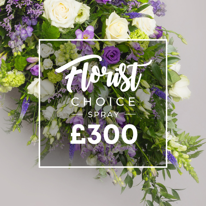 A long, elegant floral spray lying gracefully against a soft neutral grey background, designed as a substantial funeral tribute. Dominant are large, pristine white roses in full bloom, paired with white lisianthus and freesia for purity and serenity. Rich purple blooms thread through the arrangement-tall lisianthus, vivid delphinium or larkspur spires, and lavender-hued accents-creating a regal vertical rhythm that catches the eye and lingers in memory. Abundant green foliage-fern fronds and eucalyptus-like leaves-provides depth and natural texture, giving the spray a generous, flowing silhouette that could lie flat on a casket or stand as a significant tribute. The composition breathes with light and shadow, set against a soft, plain grey backdrop that makes the colours speak with quiet confidence. Overlaid on the image is a semi-transparent white panel containing text. The upper line reads Florist Choice Special in an elegant script, directly above the price ?300 in clear, bold sans-serif. This presentation signals a premium, bespoke option crafted by a local florist for sympathy or remembrance, and it reads as a promise of thoughtful seasonal selection and careful coordination. Near Grove Park and the surrounding SE London communities, this piece is offered with the same care and attention that families have come to expect. The arrangement exudes dignity and grace, a healing gesture that honors memories while affirming presence and support.