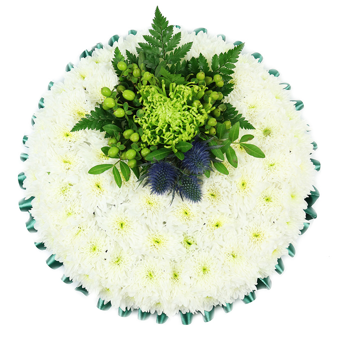This image captures a perfectly round funeral cushion viewed from above, resting on a pure white background that highlights every nuance of the floral design. The foundation of the tribute is a densely packed layer of white spray chrysanthemums, each small bloom nestled tightly against the next until they merge into an almost seamless, plush surface. Their petals are delicately layered, creating a soft, velvety texture, while the faint greenish tint at their centres adds a suggestion of gentle warmth within the cool white palette. Around the perimeter, an emerald green satin ribbon is expertly pleated into scallops, forming a defined, ruffled edge. The ribbon reflects light in subtle glints, giving a polished, traditional finish to the cushion and visually containing the sea of petals at its centre. Set just above the middle of the circle is a striking arrangement of green and blue-violet elements that becomes the focal point. A vivid lime-green spider chrysanthemum dominates this cluster, its long, slender petals twisting and curling outward in a burst of texture. Surrounding it, tight clusters of glossy Hypericum berries in bright apple green provide round, bead-like forms that contrast with the linear chrysanthemum petals. Fern fronds arch gracefully through the centre, interwoven with rich, dark green leaves that build depth and create a natural, garden-inspired feel. Nestled among the foliage are two distinctive Scottish thistles, their spherical, spiny flower heads tinted in dusty indigo-blue, lending both visual drama and symbolic meaning, especially for those with Scottish connections. Altogether, the tribute conveys a calm, respectful mood, suitable for a chapel or graveside service in Grove Park, and reflects the sensitive, experienced hand of a local florist who understands how to blend traditional white sympathy flowers with more personal touches for families in the surrounding west London neighbourhoods.