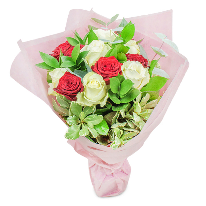 Showcased against a pristine white background, this opulent rose bouquet embodies the refined style of Grove Park's best floristry. Around twenty roses parade their beauty at the heart-half in sumptuous, deep red, and half in unblemished, creamy white. Each rose is chosen for its perfect form and freshness, distributed seamlessly for a visually harmonious effect. Generous greenery enlivens the arrangement: dark ruscus establishes volume and depth, rounded lighter leaves offer a playful counterpoint, while slender, silvery eucalyptus adds a breath of airiness. Subtle splashes of variegated cream-edged foliage echo the soft hues of Grove Park's springtime blooms. All are lovingly bundled and swathed in multiple layers of delicate, pastel-pink wrap, its gentle translucence playing with the light. The overall look is romantic and contemporary-suitable for decorating special occasions, marking moments of heartfelt congratulations, or adoring someone deserving along Burlington Lane. The bouquet is expertly finished by Grove Park Florist, every element speaking to careful selection and artistic pride, offering a multisensory experience that's both sophisticated and sincerely inviting.