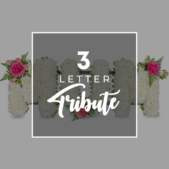 This image presents a calm, understated composition on a light grey background, centring on a three-letter floral tribute that spells MOM, a design often chosen to celebrate a mother's life at services around Grove Park. Each letter is solid and clearly defined, completely covered in densely packed white chrysanthemum heads whose small, frilled petals overlap to form a smooth, cushiony surface. The white blooms dominate the tribute, creating a feeling of serenity and innocence, while carefully placed pink accents add personality and warmth. On the first M to the left, the upper left arm is decorated with a cluster of vivid fuchsia roses and smaller pink rosebuds, intertwined with slender sprays of rich green fern leaves that cascade slightly over the letter's edge, giving a natural, garden-fresh touch reminiscent of nearby green spaces and riverside walks. The central O remains almost entirely white, its only accent a single blush-pink rose nestled gently near the base, a quiet focal point symbolising gratitude and enduring love. The second M, on the right, is crowned at its upper right side with an identical combination of bright pink roses and delicate fern, mirroring the detail on the first letter and visually tying the whole tribute together. Across the middle of the arrangement, a neat white rectangular frame is superimposed, containing the phrase 3 LETTER in simple, uppercase lettering, with Tribute beneath it in flowing script, naming the style without taking away from the floral craftsmanship. Around the main word, the out-of-focus edges of other chrysanthemum letters appear at both sides, hinting that similar designs can be personalised to spell different names or family titles. The overall mood is one of affectionate remembrance, suggesting a bespoke piece crafted with care by a local Grove Park florist for a funeral, wake, or memorial service.