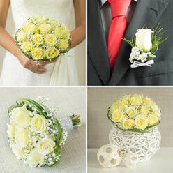 Here, the image captures a classic groom's boutonnière at the moment it is perfectly pinned to a smart black lapel. At its centre is a single pale yellow rose, soft and velvety, its petals unfolding in gentle curves that lend an air of calm elegance. The creamy hue of the rose contrasts beautifully with the dark jacket, while a bright red tie running beside it adds a vivid, festive touch, like a ribbon of excitement alongside the rose's quieter romance. Surrounding the bloom are wisps of baby's breath, each tiny white flower offering a cloud-like lightness, and a few fine green stems that provide subtle structure and freshness. The stems are bound neatly with a narrow white ribbon, wrapping them in a clean, smooth band that glows softly against the darker fabrics. The overall effect feels intimate and considered, the sort of finishing detail you might expect for a wedding taking place near Grove Park station or a riverside venue along the Thames in Chiswick. Although the photo is silent, you can imagine the faint scent of the rose, just strong enough to be noticed during a quiet moment, perhaps as the wearer stands waiting for the ceremony to begin. The textures are varied and pleasing: plush petals, feathery gypsophila, and crisp suit fabric working together in close proximity. This small floral piece transforms the lapel into a storytelling space-one that speaks gently of love, anticipation, and the careful hands of a local florist who understands how these subtle touches help make a special day feel complete.