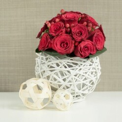 A richly textured dome of crimson roses and red berries, poised on a white woven sphere, creates a striking focal point that feels perfectly at home on a wedding table in Grove Park. The roses are densely packed, each one a study in velvety spirals: some blooms remain in tight buds, whispers of colour still gathering at their centres, while others open fully, revealing sculpted petals that draw the eye inward. Between the roses, small clusters of red hypericum berries emerge, their glossy surfaces catching the light and adding a more rounded, fruit-like texture to the smooth petals. Beneath this abundant crown of flowers sits a collar of dark green leaves, glimpsed just at the edges, giving the arrangement a natural frame and a subtle grounding in foliage. The entire bouquet is nestled in a spherical container made from white-painted wicker or twigs, woven into an airy lattice of crossing lines that lets the shadows play through. The open structure of the vase contrasts with the dense mass of roses above, balancing lightness and richness. On the left side of the pristine white tabletop, two decorative spheres of differing sizes rest casually, fashioned from pale, natural-coloured wooden strips, their relaxed, tangled weave echoing the texture of the vase but in warmer beige tones. Behind it all, a neutral background in soft beige or taupe, lightly textured like fine fabric, fades gently out of focus, ensuring the flowers remain the star. The mood is romantic and carefully composed, suitable for a small wedding celebration near Grove Park or an intimate dinner party, where a single statement centrepiece adds a sense of occasion to the room.