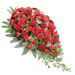 Set against a pure white background, this substantial sympathy spray from Grove Park Florist is composed in a graceful, cascading teardrop shape that broadens at the upper left and gently tapers towards the lower right. The arrangement is dominated by deep red roses that are fully opened, their velvety petals arranged in soft spirals and layered cups, each bloom suggesting devotion and cherished memories. Threaded among the roses are clusters of red spray carnations, slightly brighter in tone, with finely fringed petals that add movement and delicate texture. Together, the two varieties create a rich interplay of reds, evoking a balance of sorrow, gratitude, and enduring affection. Supporting the blooms is a generous base of varied greenery. Broad, dark green leaves provide strength and structure, subtly visible around the edges and between flowers, while rounded eucalyptus in a silvery-green hue introduces a cool, calming element to the design. At the tapered end of the spray, slender strands of light green trailing foliage flow outwards, enhancing the sense of gentle downward movement and natural grace. The lighting is soft and even, highlighting the saturation of the roses and carnations without harsh shadows, and giving the entire piece a contemplative, peaceful tone. This style of funeral tribute, often selected for services in and around Grove Park, whether at local churches or quiet chapels tucked off the main road, feels particularly suited to those who wished for something classic yet heartfelt, a floral tribute that stays dignified while still speaking clearly of love and remembrance.