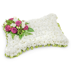 Meticulously assembled into a soft, rectangular pillow, this sympathy tribute is entirely covered with a uniform layer of small white chrysanthemums, their closely arranged blooms forming a plush, almost fabric-like surface that suggests purity and repose. The arrangement's sculpted field of white is punctuated at the top-left by a concentrated cluster of deep fuchsia and magenta roses whose layered petals open like quiet statements of affection; interlaced among them are tiny white freesias or buds that provide a whisper of scent and a gentle contrast. A lush bed of glossy leaves and delicate fern fronds supports and frames the focal spray, introducing lively green tones that enhance the composition's depth. Around the pillow's perimeter a subtle pleated band of pale green satin ribbon peeks out, its soft sheen giving the piece a neat, ceremonious finish and a whisper of colour under the white canopy. The lighting in the photograph is soft and neutral, which highlights the arrangement's texture and the roses' velvety surfaces while keeping the overall mood reverent. Set against a crisp white backdrop with a faint shadow that grounds the form, this floral pillow reads as a calm, comforting emblem for memorial services, graveside farewells, or a chapel tribute. Thoughtfully created in Grove Park, it is the sort of arrangement families request when they want to convey peaceful rest and enduring remembrance with understated craftsmanship.