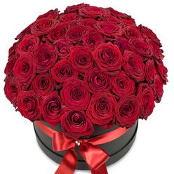 This sophisticated floral arrangement presents a vibrant explosion of deep red roses, densely nestled together to form a perfectly domed bouquet atop a sleek, round, matte black hatbox. Each rose reveals sumptuous, velvety petals, their deep crimson radiance subtly shifting in the light, with some buds still curled and others slowly unfurling to showcase nature's unfolding beauty. A wide, rich satin ribbon in radiant red gracefully encircles the box, tied into an elegant bow at the front center, with a twinkling crystal accent at its knot, reminiscent of celebratory moments in Grove Park's close-knit community. The bouquet radiates a sense of abundance and heartfelt intention, making it a stunning centrepiece or romantic gift for milestone occasions. Its stylish presentation is perfect for a significant anniversary or as a grand gesture along the quiet, blossom-lined streets of Grove Park. The fresh, imagined fragrance of roses recalls amicable strolls through local parks like Grove Park Gardens or evenings spent with loved ones. Set against an immaculate white background, the arrangement's dramatic colours and textures shine, reflecting expert design sensibilities. Crafted with care by Grove Park Florist, this memorable composition brings together tradition, luxury, and genuine emotion, offering a premium floral experience that resonates in both heart and memory.