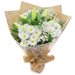 A fresh, luminous bouquet captured against a white backdrop, where crisp whites meet deep green foliage in a balanced, reassuring arrangement. The central focus is a generous mass of white chrysanthemums-daisy-like, each bloom made of numerous narrow petals fanning out from small, sunny yellow centres that bring a cheerful lift to the composition. Interspersed between and above these, several long, pale green-yellow lily buds, some subtly striped, stand like promises, their smooth, elegant forms suggesting a future bloom and adding a refined vertical counterpoint. Wisps of baby's breath (Gypsophila) are threaded throughout, the tiny blossoms forming soft, cloud-like clusters that fill gaps and add an airy, tactile softness. Rich, glossy leaves and stems provide a deep green frame that enhances the luminosity of the whites. The bouquet is hand-tied, wrapped first in rustic brown kraft paper-crinkled and warm to the touch-and then sheathed in clear cellophane whose glossy finish protects the flowers and picks up the soft studio light. The wrapping is neatly gathered and secured at the base, creating a convenient stand for display or delivery. The scent is clean and subtle, a hint of green grass after rain with a delicate floral whisper. It's the kind of arrangement you might choose for a get-well wish, a quiet celebration, or a respectful sympathy gesture-the kind a local florist in Grove Park would prepare for same-day hand delivery around the neighbourhood near Grove Park station and Chinbrook Meadows, chosen for its purity, restraint, and gentle optimism.
