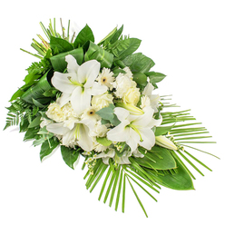 This image shows a carefully crafted sympathy spray, laid out on a clean white background so every bloom and leaf is clearly defined, as if prepared for a farewell service in the Grove Park area. The arrangement is predominantly white, framed by lush green foliage, and is designed as a one-sided display that gently tapers from a fuller upper section towards a more slender lower right point. At its centre, large white Oriental lilies take pride of place, some in full, open trumpet form with smooth, curving petals and prominent yellow-green stamens, others still in bud, their elongated shapes giving structure and height. Around them, clusters of creamy white roses and softly frilled carnations are gathered closely, their petals overlapping to create a sense of softness and comfort. White Gerbera-style daisies with pale yellow or cream centres are interspersed, adding a cheerful yet restrained detail that lightens the composition. Tiny white filler flowers nestle among the larger heads, lending a fine, misty texture that softens the transitions. The flowers rest in a lush bed of greenery: glossy dark leaves forming the backbone, light feathery fern fronds adding movement, and rounded eucalyptus leaves in muted green-blue tones offering subtle contrast. Near the top, a few long, narrow leaves are neatly looped and folded, a small but noticeable touch of modern florist styling. From the lower right, slender palm fronds fan outward and slightly upward, accentuating the elongated shape and giving the spray a contemporary, flowing profile. The overall effect is serene, dignified, and reassuring, ideal for expressing condolence and remembrance at funerals and memorials across Grove Park, from quiet residential streets to gatherings near the river and around local churches.
