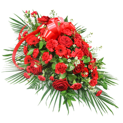 This dignified red funeral spray, set against a clean white backdrop, stretches in a graceful, elongated shape, conveying both strength and tenderness in its design. At its core, plush red roses capture attention, their velvety petals unfolding in layers that feel timeless and deeply romantic. Clustered around them, rich red carnations add generous volume, each frilled bloom contributing a soft, cloud-like texture that makes the central area appear dense and comforting. Standing slightly apart, red gerbera daisies with broad, open faces and darker centres act like quiet beacons, giving the composition a modern accent while harmonising beautifully with the classic roses and carnations. dotted delicately among the red blooms are tiny white filler flowers-reminiscent of baby's breath or fine chrysanthemum sprays-which add lightness and small points of contrast, preventing the design from feeling heavy and instead lending it an airy balance. Shaped as a one-sided spray that is full in the middle and gently tapered at both ends, this arrangement is ideally suited to rest on a casket or be placed at the front of a service in Grove Park, perhaps in a local church or gathering space close to the station or along Grove Park Road. The flowers are supported by a generous base of greenery: long palm leaves sweep outwards from the sides and base, giving the piece its distinctive length and flowing silhouette, while denser, darker foliage such as salal or ruscus fills the inner structure, adding depth and a natural frame. At the upper centre, a wide, glossy red satin ribbon forms an elegant bow, its multiple loops and trailing ends weaving through the flowers in a way that subtly ties the entire colour story together. This carefully crafted spray, similar to those created by Grove Park Florist for families across the area, speaks of love, remembrance, and a heartfelt goodbye.