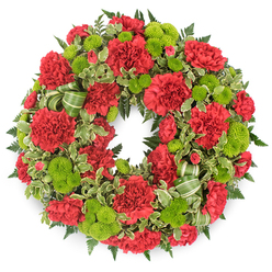 A traditional yet vibrant sympathy wreath is captured in clear detail against a crisp white background, making its colours and textures stand out in sharp relief. The piece is entirely circular and densely filled, with no bare spaces, giving the impression of a continuous halo of flowers. The primary blooms are deep red carnations, their many-layered petals fluffed and ruffled, creating a soft, velvety surface that runs all the way around the wreath. Their crimson tones suggest deep affection and respect, suitable for marking a life well lived. Between these sit small clusters of lime green button chrysanthemums, perfectly dome-shaped and neatly composed of tiny, tightly packed florets. Their bright chartreuse hue offers a striking counterpoint to the red, introducing a sense of light and renewal into the design. Supporting this floral ring is an underlay of mixed greenery: dark leatherleaf fern unfurling in fine, feathery fronds, and variegated pittosporum leaves with creamy margins that add both pattern and softness around the outer edge. Subtle twists of green striped ribbon are entwined through the foliage, complementing the chrysanthemums' lively colour without distracting from the overall harmony. The composition feels balanced and serene, an unbroken circle that naturally suggests continuity and remembrance. Crafted in a style you might find at a well-established Grove Park florist serving local chapels and crematoria, this wreath is an apt choice for funerals, memorial gatherings, and graveside tributes across Grove Park, expressing condolences with a thoughtful blend of classic red and uplifting green.