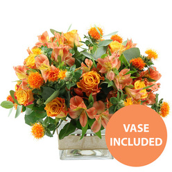 A richly coloured floral arrangement in glowing shades of orange, yellow, and peach is shown against a spotless white background, every bloom and leaf carefully placed as if freshly finished at Grove Park Florist. At the heart of the design sit several large orange roses, their petals unfolding in velvety spirals, some shaded with hints of yellow near the centre that create a soft, sunlit gradient. Tucked among them are rounded yellow garden roses, densely layered with small petals that form plump, cushion-like blooms, adding a sense of abundance and comfort. Threaded between these roses are clusters of peach and light orange alstroemeria, or Peruvian lilies; their narrow petals flare outward and are adorned with fine stripes and speckles in deeper orange and russet tones, giving each floret a delicate, hand-painted quality. Breaking up the smooth textures, small, spiky, spherical accent flowers in an intense orange-reminiscent of safflower or thistle-pop up throughout the bouquet, bringing lively movement and tactile interest. Surrounding the flowers is an embrace of greenery, including broad, silvery eucalyptus leaves and deeper green foliage that layer behind and between the blooms, framing the warm colours and adding natural structure. The stems are arranged in a clear square glass vase, the straight lines of the container providing a modern contrast to the soft, organic shapes of the flowers and making it easy to imagine the bouquet displayed on a table near Grove Park Station or in a home overlooking the river. Around the centre of the vase, a band of natural beige burlap or jute ribbon is wrapped snugly, its coarse weave and gentle fraying lending a rustic, homely touch. In the lower right corner of the image, an eye-catching circular orange badge with white capital letters states "VASE INCLUDED," signalling that this is a complete, ready-to-place gift. The overall effect is of a warm, optimistic bouquet, ideal for celebrating milestones, saying thank you, or bringing a burst of colour into everyday life around Grove Park and nearby Chiswick and Kew.