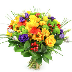 Captured against a bright white background, this hand-tied bouquet feels like a burst of Grove Park sunshine gathered into a single, abundant dome. The arrangement is rounded and compact, carefully composed so that every bloom plays a part in the overall harmony. Yellow roses sit at the heart, their spiralled petals forming perfect rosettes, surrounded by soft, cushioned yellow chrysanthemums and daisy-like flowers that scatter light through the design. These warm tones flow naturally into vivid orange gerbera daisies and smaller tangerine nuances, whose strong, daisy-shaped faces lend the bouquet a lively, modern character suited to celebrations, new beginnings, and joyful announcements. Threaded among the yellows and oranges are deep purple lisianthus blossoms, their ruffled petals introducing a cool sophistication that hints at twilight walks near the river at Strand-on-the-Green. Some lisianthus remain in bud, touched with white and lavender, suggesting gentle unfolding moments yet to come. Lime-green button chrysanthemums punctuate the composition, their neat, rounded forms and fresh colour reminiscent of new leaves emerging along Grove Park's quiet residential streets. Clusters of glossy red hypericum berries nestle between flowers, adding a jewel-like shimmer and a slightly festive tone without overpowering the design. Slender, upright blades of ornamental grass rise above the main body of blooms before arching gracefully outward, creating movement and giving the eye pathways to follow. All of this colour and texture is supported by a rich base of dark, glossy green foliage, which shapes and anchors the bouquet. The bound stems at the base show it is ready to be carried home or delivered locally, bringing warmth, gratitude, and a touch of natural abundance into everyday life.