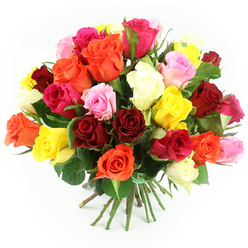 A vibrant bouquet of roses in every familiar garden shade is shown against a plain white background, creating a striking contrast that draws the eye straight into the flowers. The roses are gathered into a full dome, the heads arranged close together so that the effect is one of continuous colour with subtle shifts and no hard lines. Ruby and crimson roses provide a romantic depth, threaded through with bursts of sunny yellow, warm orange and coral blooms that feel bright and uplifting. Beside them, softer pastel pinks mingle with richer fuchsias and elegant ivory or cream roses, adding a gentle, more sentimental note. Each bloom displays its own personality: some are wide open with broad, velvety petals, others are only partly unfurled, and a few remain in bud, promising more fragrance and colour in the days ahead. Slender glimpses of dark green foliage appear between the petals, introducing a cool, natural tone much like the leafy views you see wandering around Grove Park and the paths near Chiswick House Gardens. The long stems beneath the flowers are firmly held together and finished with a neatly tied green and white checked ribbon, which adds a homely, hand-crafted feel, as though arranged by an experienced local florist who knows the tastes of Grove Park residents well. The lighting is soft but bright, revealing each nuance of colour and the gentle curves of the petals, giving the bouquet a fresh-from-the-market look. The mood is festive and hopeful, perfect to imagine as a same-day delivery for birthdays, anniversaries or "thinking of you" gestures within Grove Park and the neighbouring riverside streets.