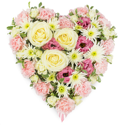 A meticulously crafted, heart-shaped floral arrangement rests against a clean white background, its details captured clearly so that each flower seems to tell part of a shared story. The heart is densely covered, with petals touching and overlapping to create a seamless, velvety surface of colour. At the centre, several large cream-to-pale-yellow roses unfurl in smooth, spiralling layers, their softly glowing tones evoking comfort, gratitude, and lasting affection. Embracing these roses are generous clusters of pastel pink carnations, their frilled petals massed together to form the main body and rounded edges of the heart, lending a sense of softness and gentle support. Scattered among the carnations, white spider chrysanthemums emerge, their slender, needle-like petals radiating from crisp green centres, introducing fine, intricate texture and a sense of airiness. Deeper magenta-pink lisianthus blooms are placed thoughtfully throughout the design; their bell-shaped flowers and slightly ruffled edges add dramatic depth and a quiet intensity of feeling. Small sprigs of green foliage and subtle buds peek between the blooms, giving the arrangement a natural, garden-fresh look, like something you might find in a well-loved Grove Park garden near the railway or by the leafy streets leading toward Kew. At the very tip of the heart, a delicate pink ribbon can be seen, hinting that this is a funeral or sympathy tribute, prepared with care for a memorial gathering. The overall impression is one of calm, dignified beauty-a floral heart that gently expresses what can be so hard to say aloud at times of farewell.