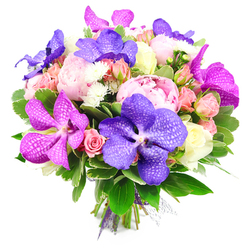 A lavish hand-tied bouquet, shown against a clean white background, radiates both opulence and warmth through its layered textures and carefully chosen colours. Central to the design are plush pink peonies, captured in full bloom so their ruffled petals billow outward in soft, romantic curves that feel almost like silk beneath the fingertips. Interspersed among these peonies are dramatic Vanda orchids in jewel-like tones of rich purple and vivid fuchsia, their broad petals printed with delicate veining that resembles fine lacework or a hand-painted pattern, lending the arrangement a distinctly modern flair. Nestled around the orchids and peonies are smaller roses in shades of blush pink, peach, and creamy white, some tightly furled like secrets yet to be told, others gently opening to reveal spiralled centres. In between, tiny white filler flowers, similar to spray chrysanthemums, create sparkling points of contrast that brighten the whole composition. A collar of lush, glossy greenery surrounds the blooms, with leaves that curve and overlap to give the bouquet depth and a sense of natural abundance, reminiscent of the leafy avenues and riverside paths around Grove Park. The stems at the base are aligned with precision and tied with a purple ribbon and a whisper of sheer mesh, clearly prepared for gifting by a skilled local florist. The bouquet feels ideal for birthdays, anniversaries, or simply bringing a touch of refined joy into a home, whether it's a townhouse near Grove Park station or a quiet flat tucked close to the riverside walks towards Chiswick.