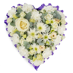 A beautifully composed heart-shaped floral tribute fills the image, set against a bright white background that brings its gentle colours and textures into sharp focus. At its core, a single creamy white rose opens in an elegant spiral, its smooth petals forming the emotional centre of the arrangement and symbolising deep affection and remembrance. From this point, the heart radiates outward with layers of white carnations, their frilled petals softening the overall shape and creating a plush, cushion-like effect. Interwoven throughout are white spider chrysanthemums and smaller chrysanthemum or daisy heads, whose slender, spiky petals and pale green or light yellow centres introduce delicate variation and a sense of quiet movement, like whispered memories. Creamy rosebuds and lisianthus buds nestle gently among the larger blooms, some still tightly furled, hinting at love and stories that linger on. Sprigs of blue-green eucalyptus foliage peek through at intervals, their rounded leaves and subtle silvery tone adding depth, structure, and a suggestion of cool, clean fragrance. The entire heart is outlined by a rich purple ribbon, pleated and ruffled to trace each curve, providing a strong yet graceful frame that lends a formal, reverent feel to the tribute. The styling and careful photography suggest a piece freshly created in a local Grove Park workshop, ready to be carried along the quiet streets towards Chiswick, Kew, or a nearby chapel. This floral heart conveys a message of peace, dignity, and tender sympathy, perfectly suited for funerals, memorial services, or farewell ceremonies in and around Grove Park.